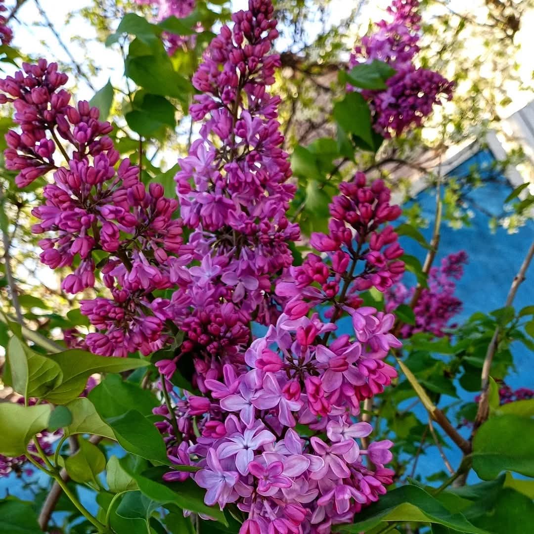 Toate zonele din țară sunt sub impactul unui fenomen meteo rar: un val de praf saharian și căldură neobișnuită. Începând de miercuri și joi, temperaturile depășesc 30°C în vestul țării, iar în alte zone vor atinge valori semnificative, mai ales în regiunile sudice și centrale.