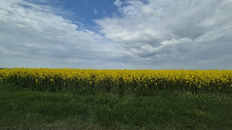 Vreme caldă cu fenomene extreme: Soare arzător, ploi, furtuni și grindină în zilele următoare Meteorologii prognozează o perioadă de vreme caldă, cu temperaturi ce vor depăși media sezonului în majoritatea regiunilor țării