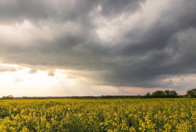 Vremea caldă de primăvară face o pauză: Ploaie și temperaturi scăzute în weekendul 25-27 aprilie După zilele de primăvară caldă, vremea se schimbă semnificativ în acest weekend, iar meteorologii anunță o scădere considerabilă a temperaturilor și precipitații în majoritatea regiunilor din țară.