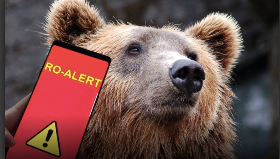 Duminică seară, la ora 22:30, autoritățile din comuna Pietroșița au fost alertate cu privire la prezența unui urs pe drumul DC132, care se îndrepta spre satul Pietroșița. Primarul Ion Dicu a anunțat mobilizarea rapidă a Jandarmeriei, ISU și Poliției, care au demarat o acțiune de căutare în zonă.