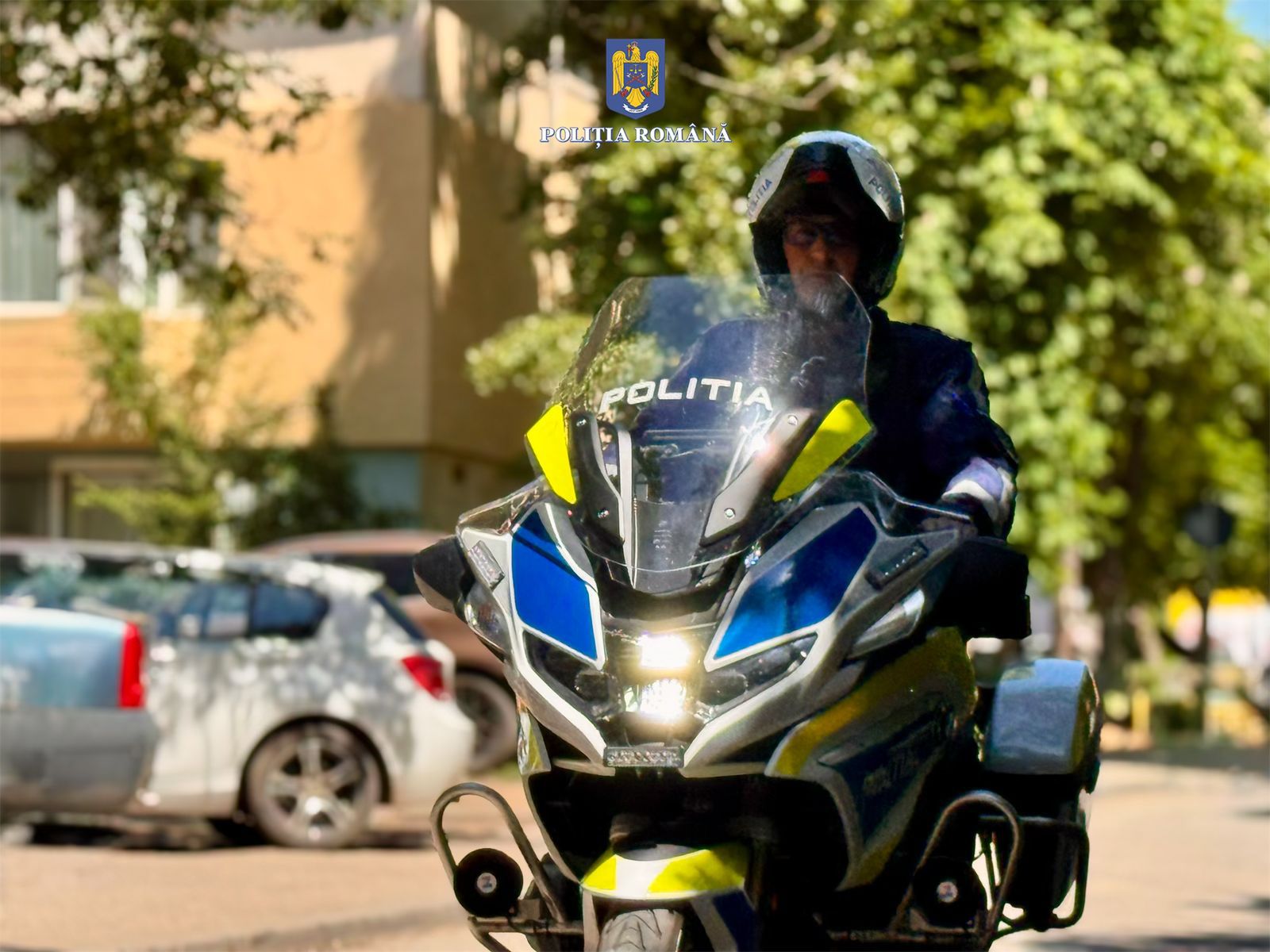 Dâmbovița, sub lupa poliției: Infracțiuni în lanț, permise reținute și amenzi usturătoare într-o singură zi