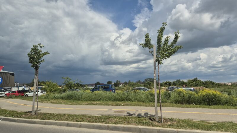 Informare meteorologică pentru tot județul Dâmbovița: Vânt puternic, ploi torențiale, grindină și frig în următoarele zile Informare meteorologică pentru tot județul Dâmbovița: Vânt puternic, ploi torențiale, grindină și frig în următoarele zile
