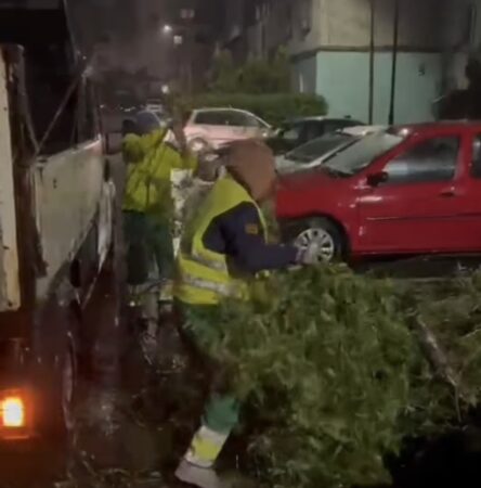 Administrația din Târgoviște, pregătită să intervină în condiții de instabilitate atmosferică Administrația din Târgoviște, pregătită să intervină în condiții de instabilitate atmosferică