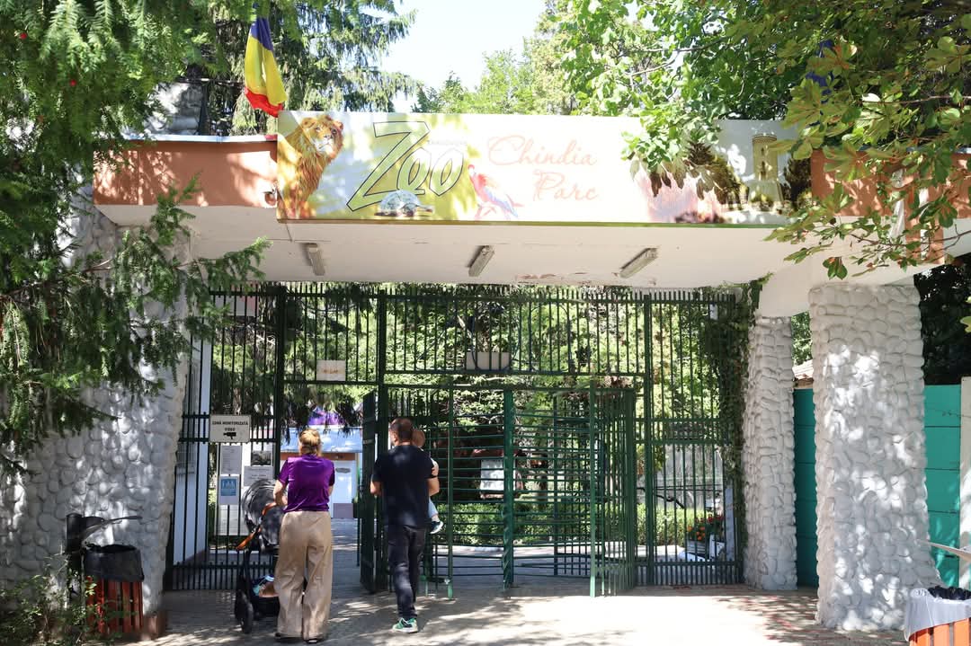 Spectacol de culoare la Zoo Târgoviște: Iazul cu crapi Koi încântă vizitatorii!