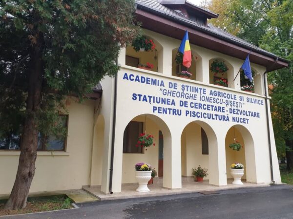 Stațiunea Piscicolă Nucet, ținta hoților: Doi bărbați, reținuți de poliție Stațiunea Piscicolă Nucet, ținta hoților: Doi bărbați, reținuți de poliție