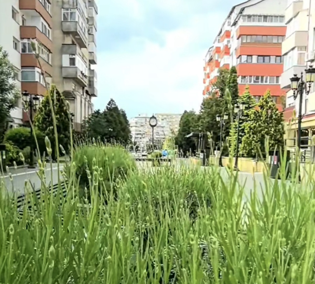 Târgoviște, un oraș tot mai verde și mai curat