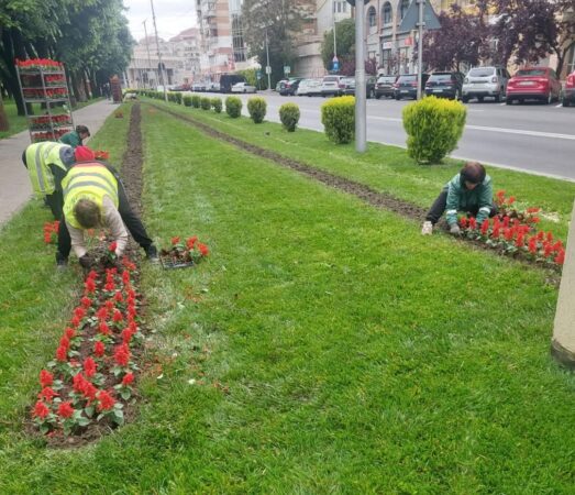 Târgoviște înflorește, chiar și sub stropii de ploaie: Administrația locală continuă modernizarea spațiilor verzi Târgoviște înflorește, chiar și sub stropii de ploaie: Administrația locală continuă modernizarea spațiilor verzi
