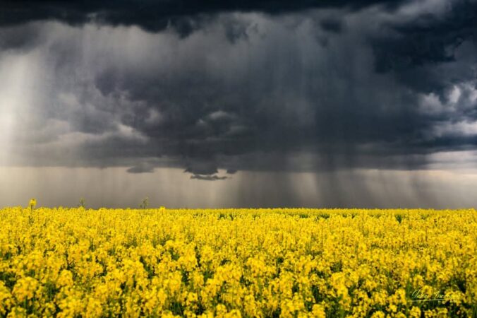 Zi cu schimbări meteo bruște în județul Dâmbovița: Soare dimineața, furtuni și ploi torențiale după prânz Zi cu schimbări meteo bruște în județul Dâmbovița: Soare dimineața, furtuni și ploi torențiale după prânz