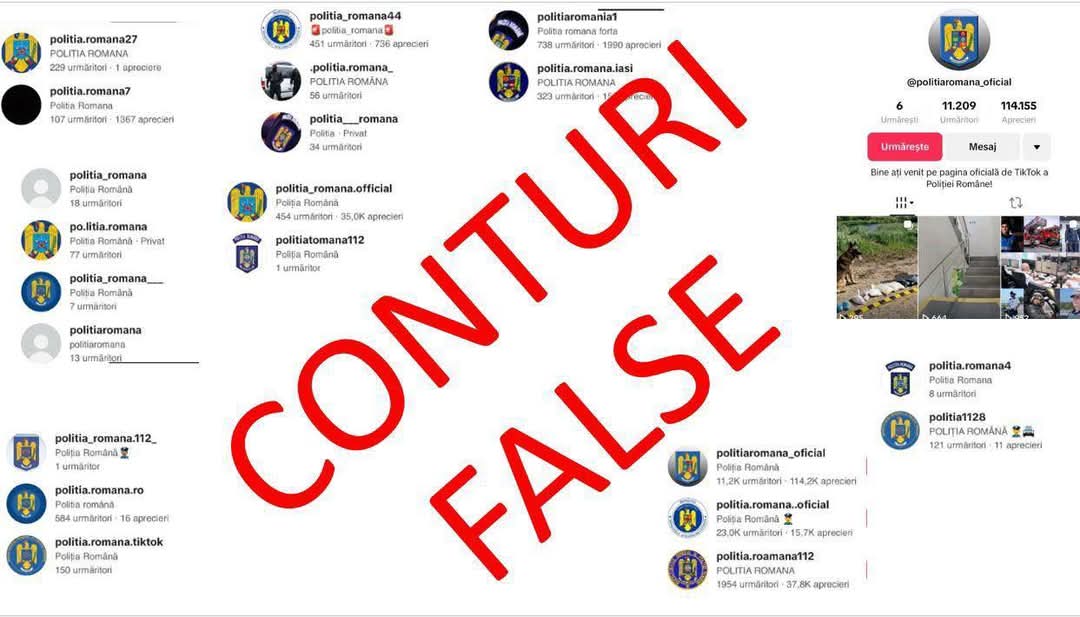 Peste 160 de conturi TikTok eliminate pentru folosirea ilegală a însemnelor Poliției Române