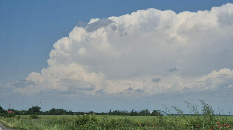 COD GALBEN de CANICULĂ în Dâmbovița: Temperaturi de până la 37°C și disconfort termic accentuat