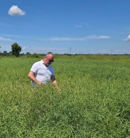 După ploi abundente, specialiștii de la Direcția Agricolă Dâmbovița au ieșit pe teren: Munca fermierului nu se oprește niciodată După ploi abundente, specialiștii de la Direcția Agricolă Dâmbovița au ieșit pe teren: Munca fermierului nu se oprește niciodată