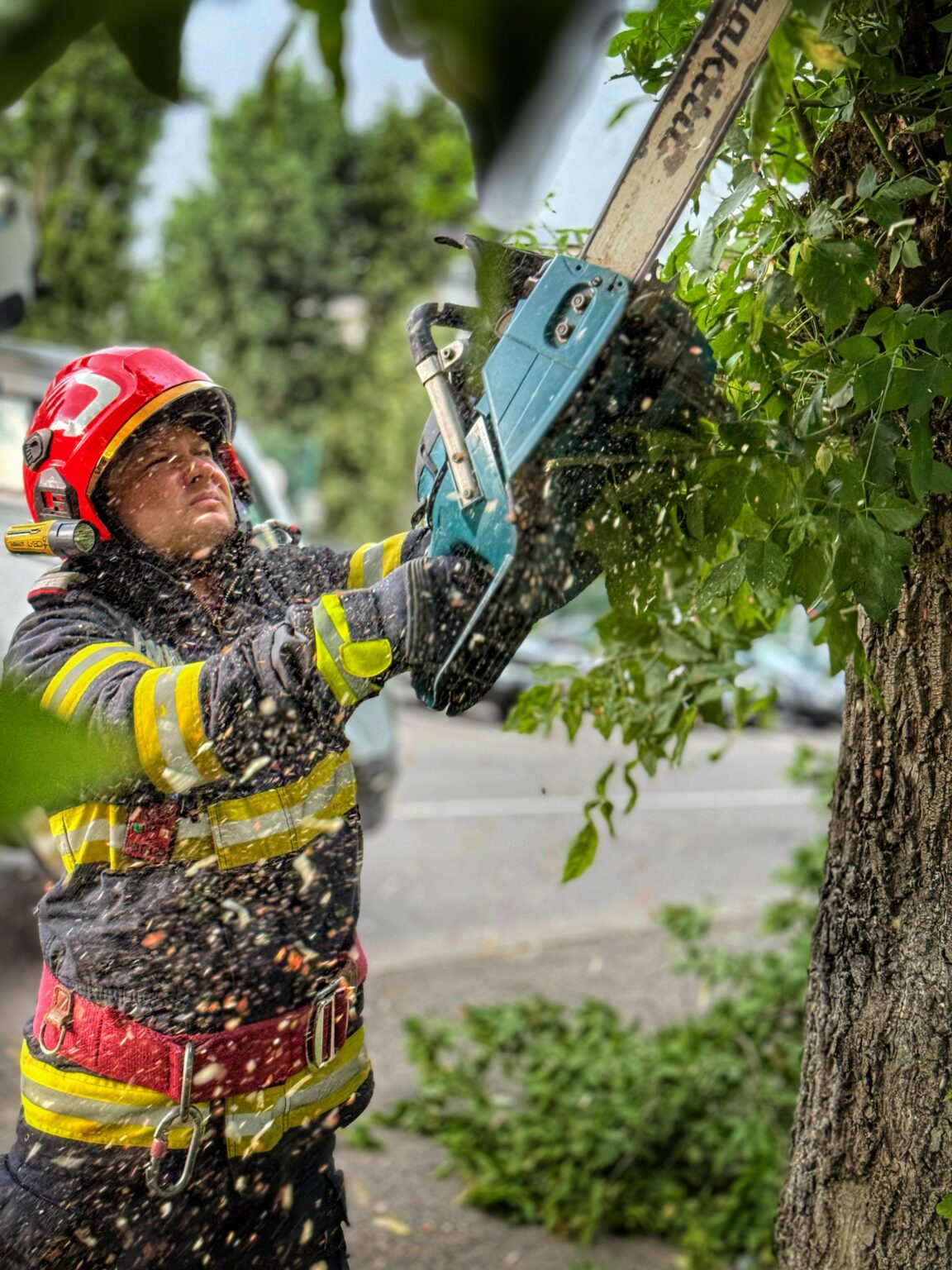 FURIA NATURII: Pompierii dâmbovițeni în acțiune pentru siguranța comunității în urma CODURILOR PORTOCALIU și ROȘU FURIA NATURII: Pompierii dâmbovițeni în acțiune pentru siguranța comunității în urma CODURILOR PORTOCALIU și ROȘU p