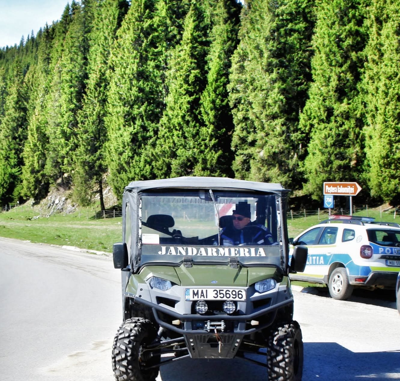 Jandarmii montani din Dâmbovița, apel către turiști: Fiți vigilenți, urșii sunt tot mai prezenți pe trasee