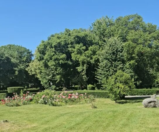 Parcul Chindia intră într-o nouă etapă, modernizare completă cu fonduri europene Parcul Chindia intră într-o nouă etapă, modernizare completă cu fonduri europene