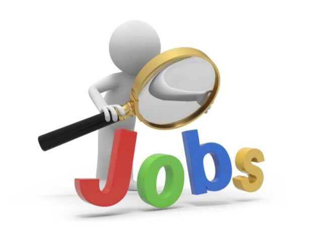 Peste 500 de locuri de muncă disponibile în Dâmbovița, AJOFM vine cu noi oportunități pentru toată lumea