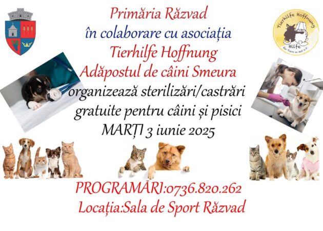 Sterilizări gratuite pentru câini și pisici, pe 3 iunie, la Răzvad