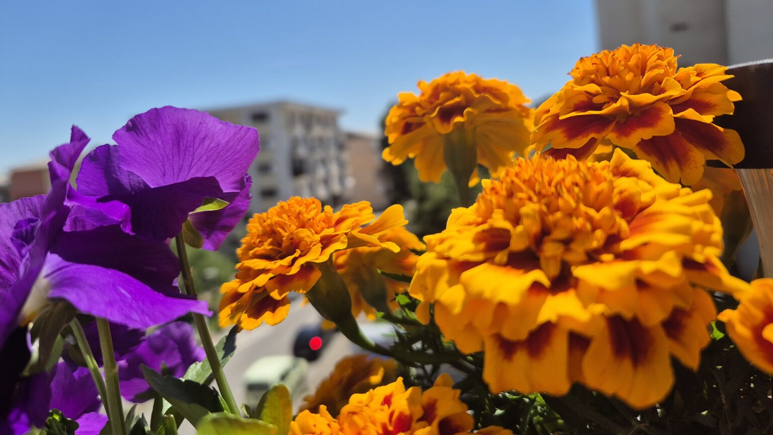 Vara începe în forță: Val de caniculă și furtuni între 2 și 8 iunie Vara începe în forță: Val de caniculă și furtuni între 2 și 8 iunie