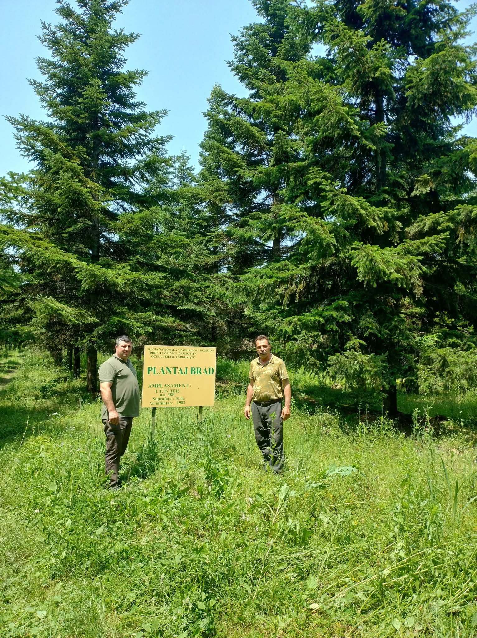 Ziua Silvicultorului sărbătorită cu respect și recunoștință la Ocolul Silvic Sturzeni