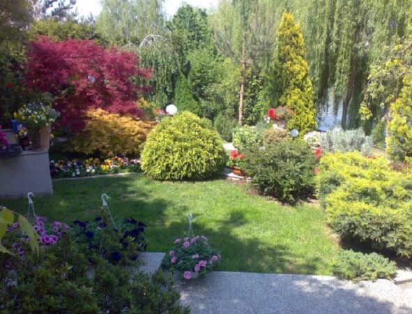 Întreținerea grădinilor și a spațiilor verzi – Ghid tehnic