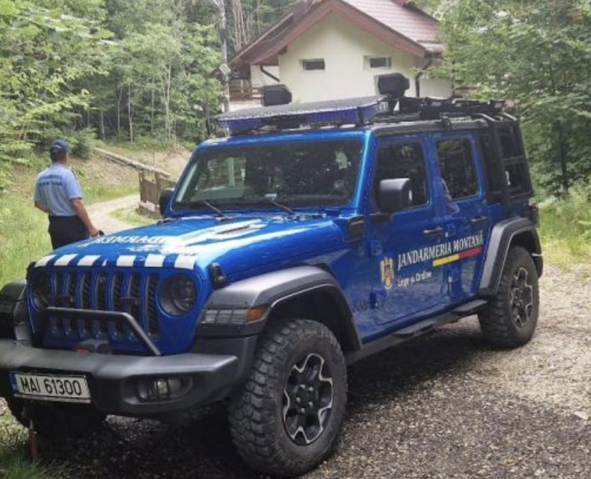 Alertă de urs în comuna Moroeni: Intervenție a jandarmilor și mesaj Ro-Alert transmis populației