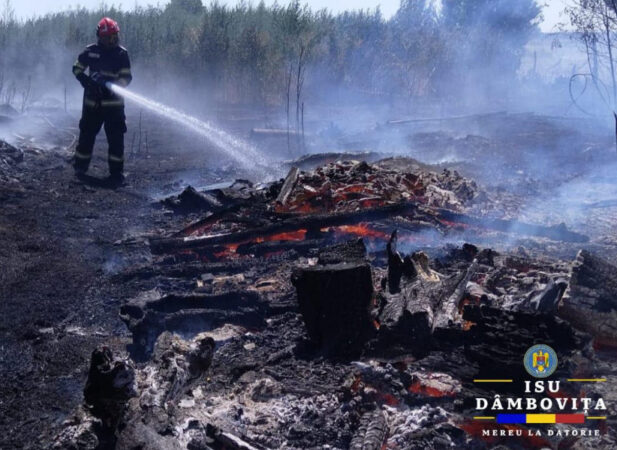 Ard câmpurile în tot județul Dâmbovița: 34 de incendii în doar două zile și peste 35 de hectare mistuite de flăcări