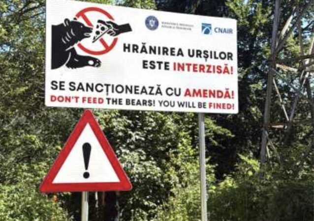 Avertisment dur de la Salvamont și Jandarmeria Montană după atacul ursului de pe Transfăgărășan Avertisment dur de la Salvamont și Jandarmeria Montană după atacul ursului de pe Transfăgărășan
