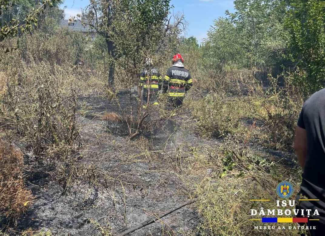 Bărbat la un pas de moarte, ars în flăcările unui incendiu de vegetație uscată