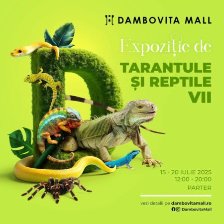 Spectacol exotic la Dâmbovița Mall! Spectacol exotic la Dâmbovița Mall!