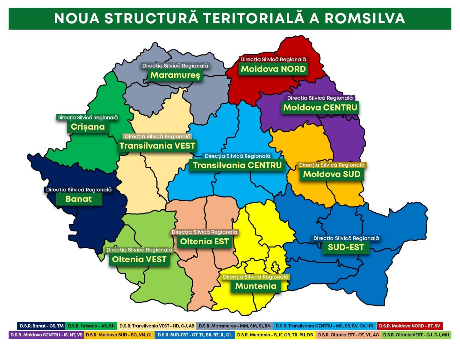 Dezorganizarea sau reorganizarea la  Romsilva? De la 41 la 12 direcții silvice 