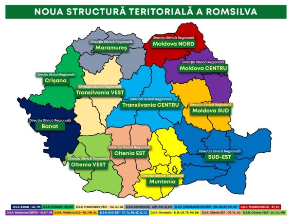 Dezorganizarea sau reorganizarea la Romsilva? De la 41 la 12 direcții silvice Dezorganizarea sau reorganizarea la Romsilva? De la 41 la 12 direcții silvice