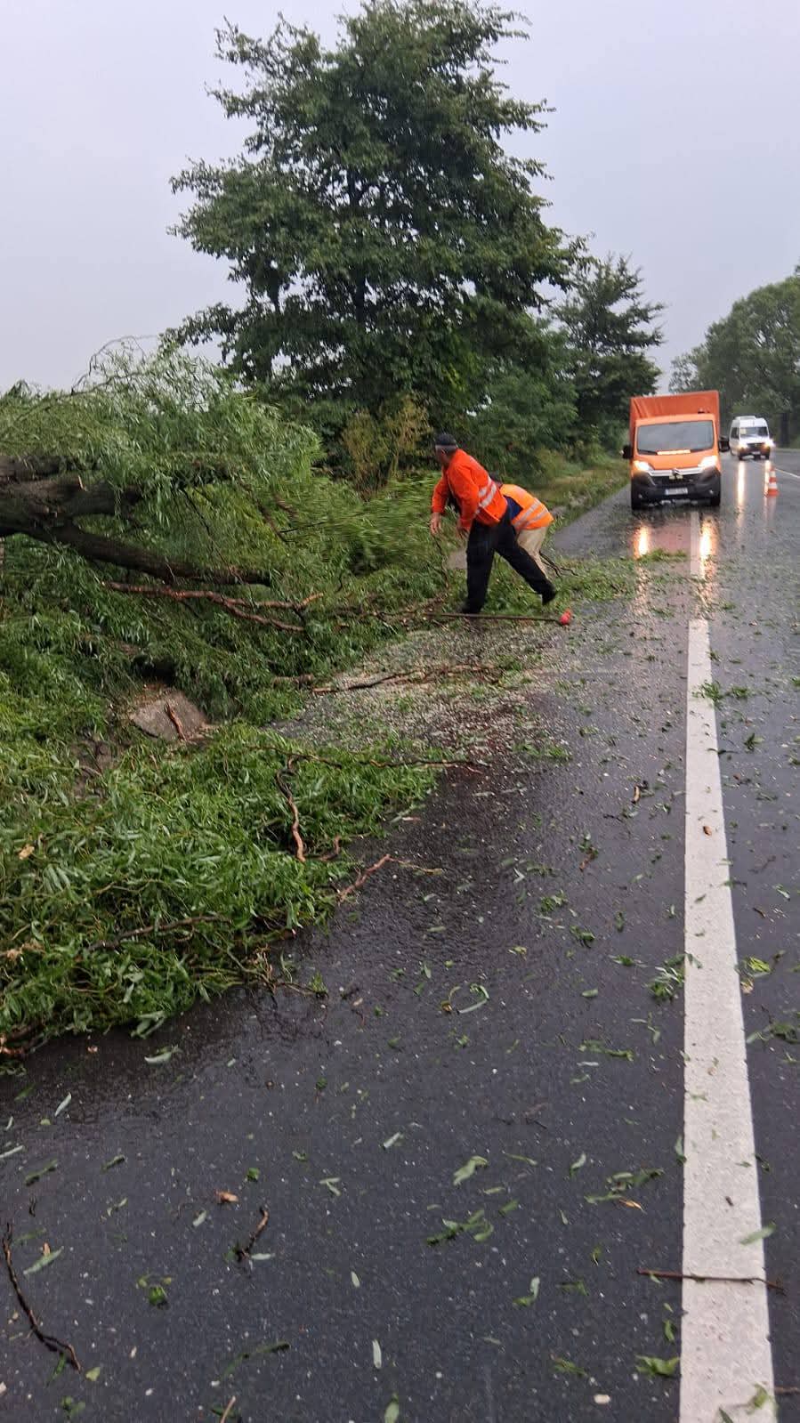 Mare atenție la vreme: Furtunile extreme fac prăpăd în țară