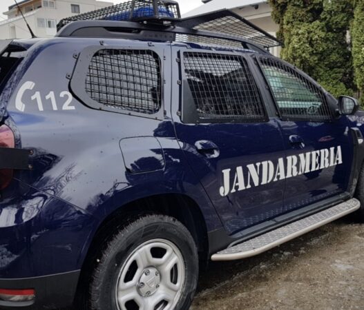 Jandarmii dâmbovițeni fac apel la responsabilitate în zonele afectate de prezența urșilor Jandarmii dâmbovițeni fac apel la responsabilitate în zonele afectate de prezența urșilor