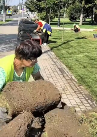 Lucrări de reamenajare a spațiilor verzi în Parcul Mitropoliei din Târgoviște