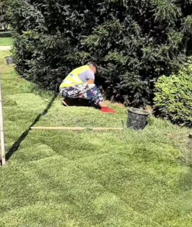 Lucrări de reamenajare a spațiilor verzi în Parcul Mitropoliei din Târgoviște