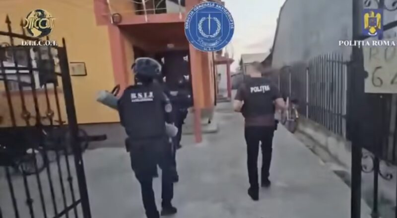 Polițist dâmbovițean, implicat într-o rețea de trafic de droguri: Cultură de canabis descoperită la Comișani