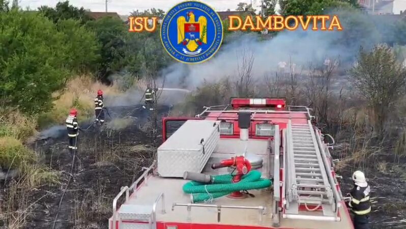 Pompierii dâmbovițeni, în luptă cu incendiile de vegetație