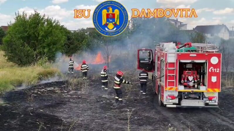 Pompierii dâmbovițeni, în luptă cu incendiile de vegetație Pompierii dâmbovițeni, în luptă cu incendiile de vegetație