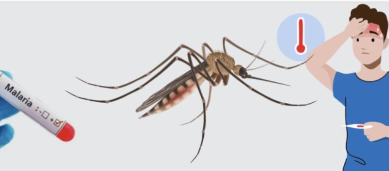ALERTĂ MEDICALĂ! Primul caz de malarie autohtonă confirmat în România după zeci de ani, specialiștii avertizează asupra unui posibil focar local
