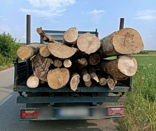 Razie în Titu: Poliția nu iartă nimic, 153 de amenzi date în doar 6 ore Razie în Titu: Poliția nu iartă nimic, 153 de amenzi date în doar 6 ore