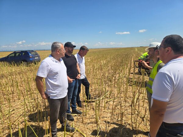 Secretarul de stat Ionuț Săvoiu a vizitat lucrările geotehnice pe traseul viitorului drum expres București–Târgoviște Secretarul de stat Ionuț Săvoiu a vizitat lucrările geotehnice pe traseul viitorului drum expres București–Târgoviște