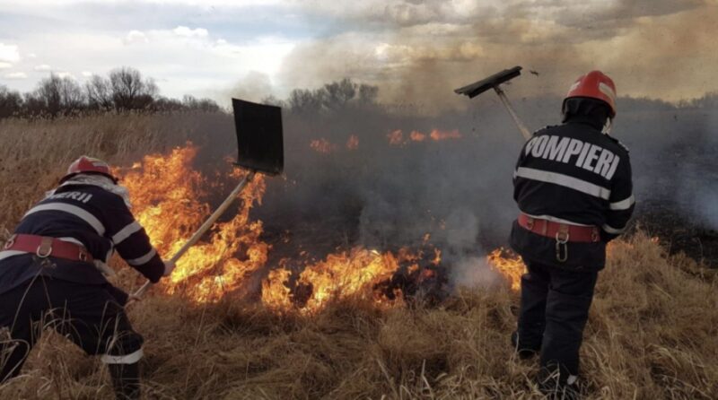 Alertă la Poiana: 7.000  de metri pătrați de vegetație uscată în flăcări