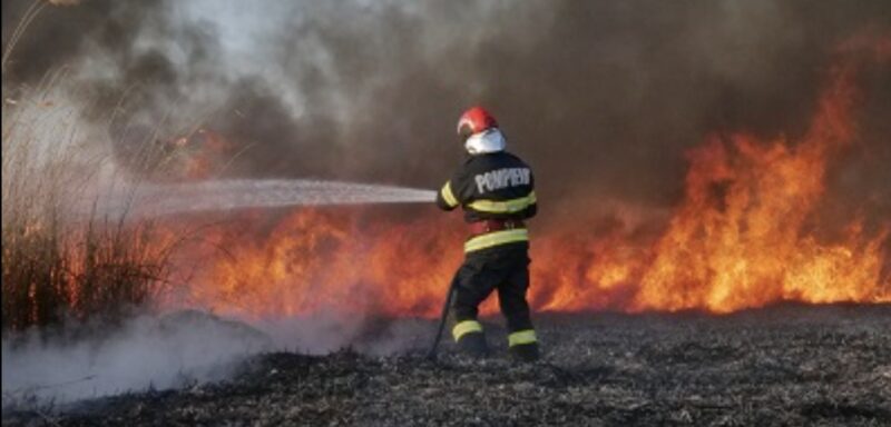 Alertă la Poiana: 7.000  de metri pătrați de vegetație uscată în flăcări