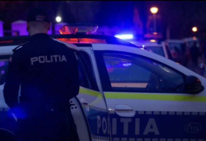 Autoutilitară cu numere false, depistată de polițiști pe DN 7 