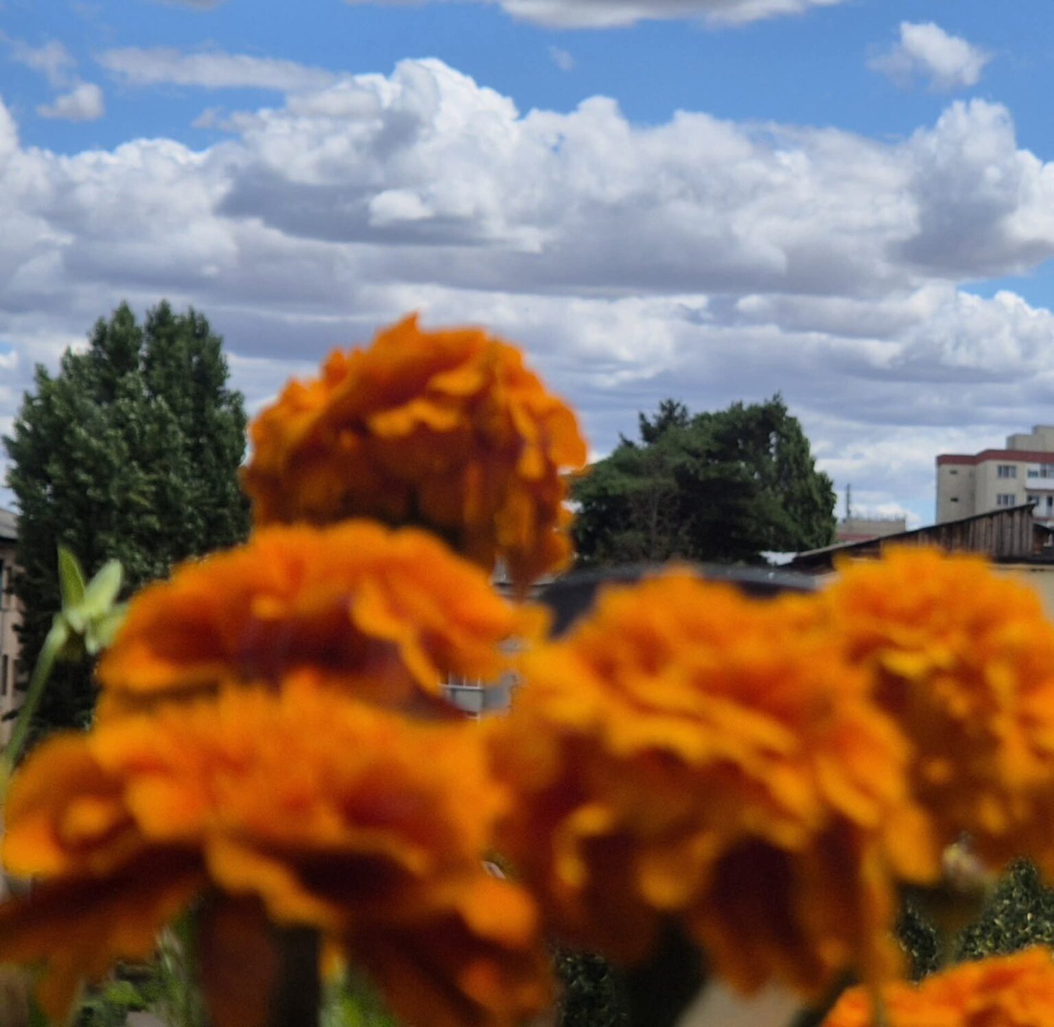  MARE ATENȚIE! CANICULĂ ȘI VIJELII ÎN JUDEȚUL DÂMBOVIȚA