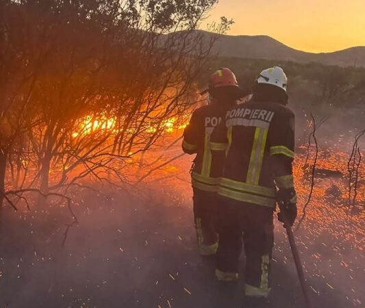 Focul nu iartă, iar un singur gest neglijent poate distruge vieți, case și natura.