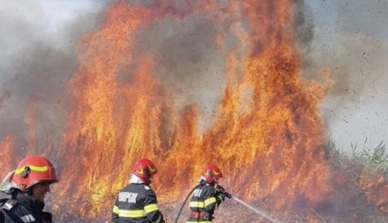 Iad pe câmpurile din Dâmbovița: Peste 126 de hectare mistuite de incendii de vegetație