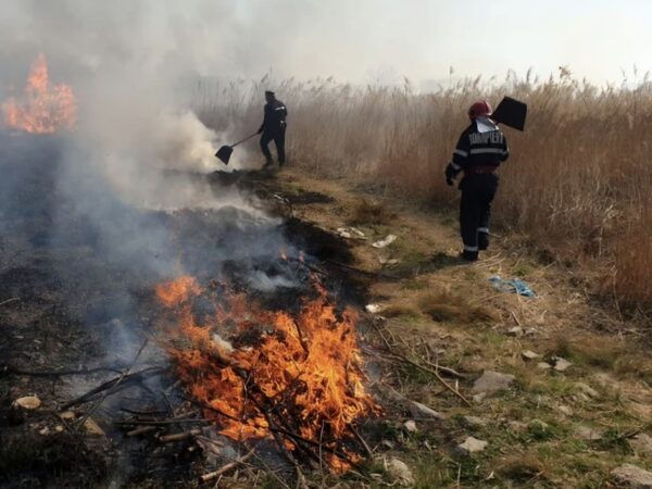 Incendiu de vegetație uscată cu risc ridicat în Târgoviște , pompierii au intervenit prompt pentru stingere