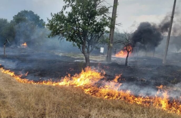 Incendiu violent în Ulmi:  Autoturism și vegetație uscată mistuite de flăcări 