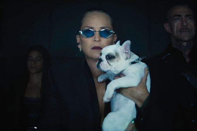 La Cinema Independența din Târgoviște: „Nobody 2” cu Sharon Stone și Bob Odenkirk 