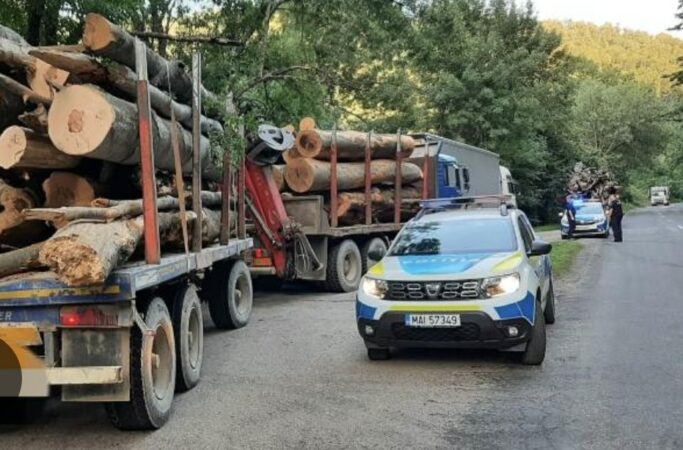 Stop jafului în pădurile județului Dâmbovița